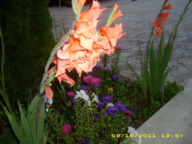 Villa Maria Country Inn Acheson Luaran gambar